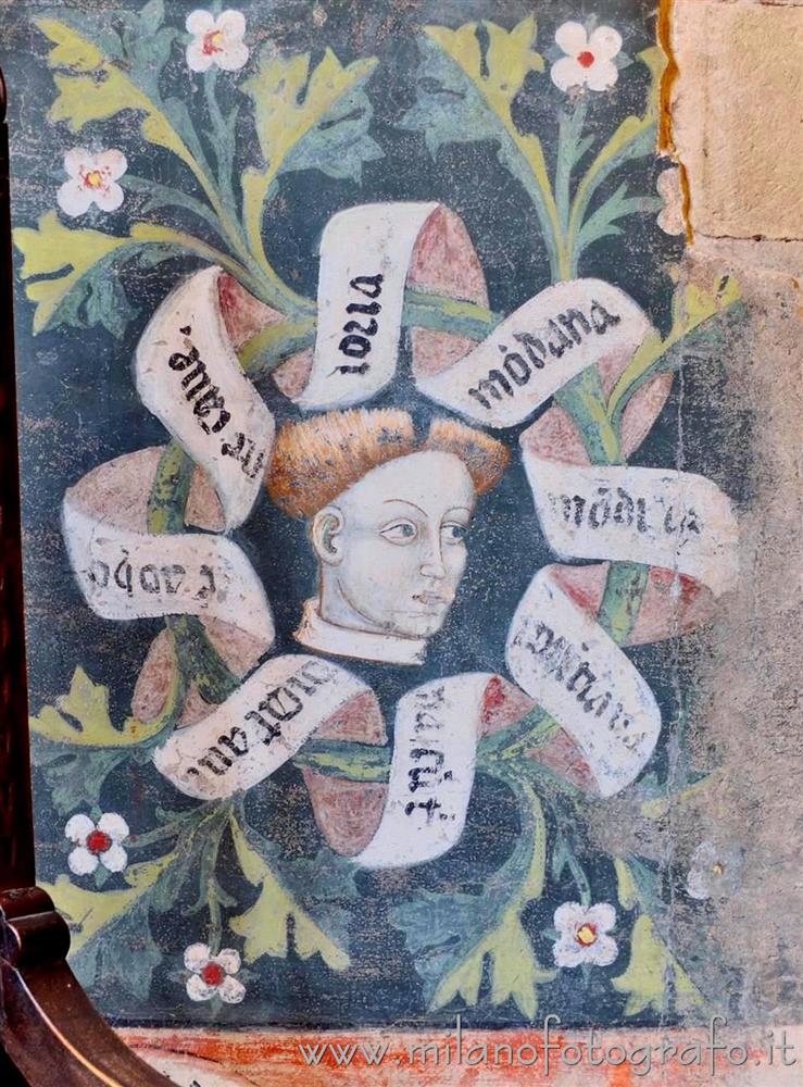 Castiglione Olona (Varese, Italy) - Head surrounded by scrolls on a wall of the Hall of the Cardinal in Branda Palace